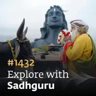 #1432 - Makara Sankranti & Pongal