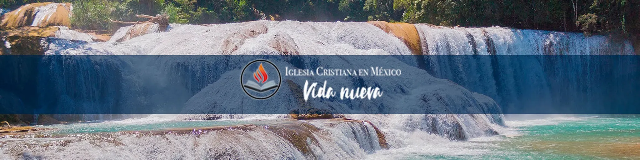 ICEM Vida Nueva Online