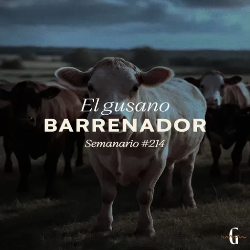 El gusano barrenador