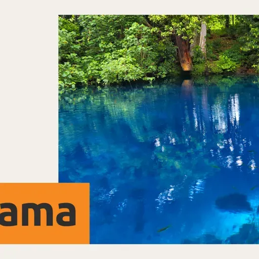 Mantis - musik i save openem plante doa long laef