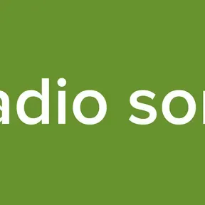 Radio sonil