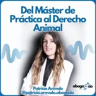 488.Del Máster de Práctica al Derecho Animal