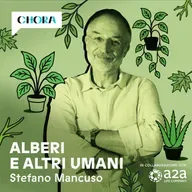 Un’altra Cina | Alberi e altri umani