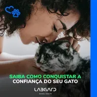 Episódio 80 - Saiba como conquistar a confiança do seu gato!