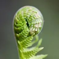 O AUTISMO E O ESPIRITISMO