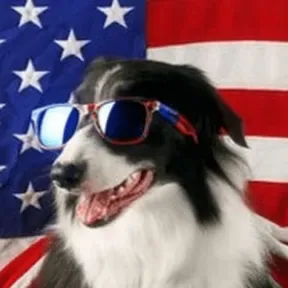 American Fido