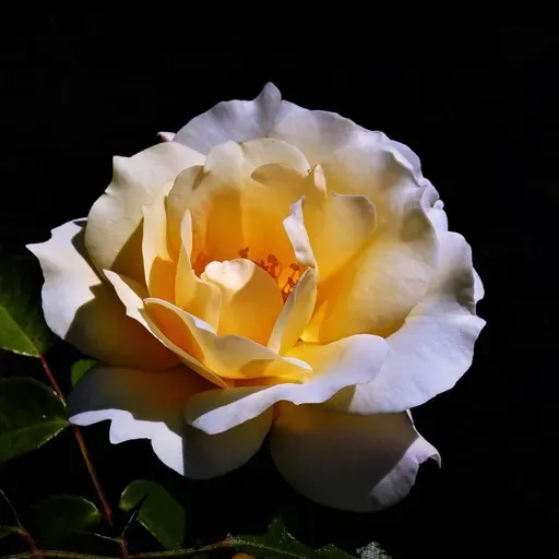 Ecología para todos: Explota la primavera