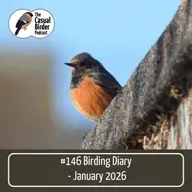 146 Birding Diary - January 2026