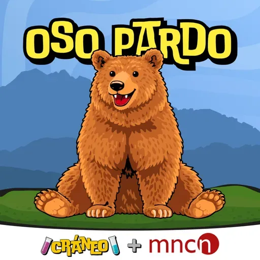 Oso pardo: El secreto de los árboles marcados