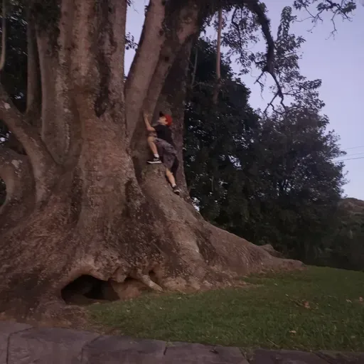 21.8 A mudança interior