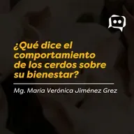 ¿Qué dice el comportamiento de los cerdos sobre su bienestar?