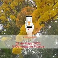 SANTA MISA DEL DOMINGO (Mayo 02/2021) 