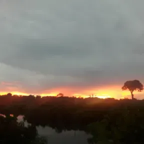 Radio-taruma bela Vista