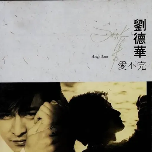 刘德华 爱不完（1991）奠定华仔在歌坛的风格