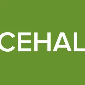 DANCEHALL FM
