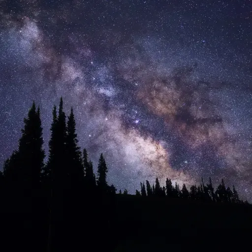 Physics to God: Rational Arguments for Design in the Universe