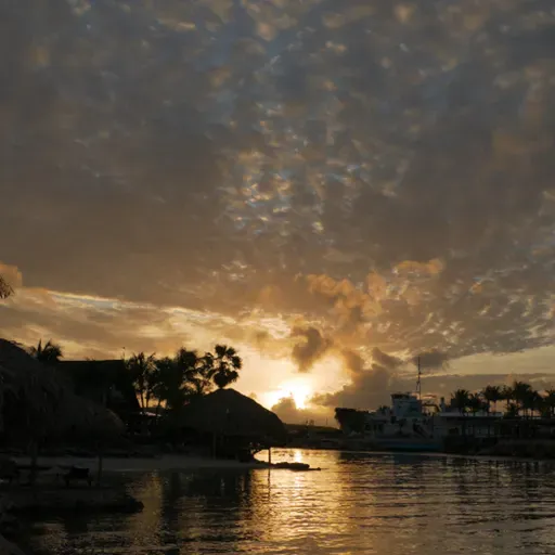 animais têm religiosidade? abelhas otimistas e contagiantes! viva Italo Calvino!