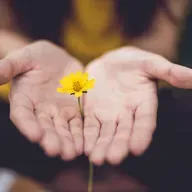 Brīvprātīgā darba veicēju palīdzība ir nepieciešama daudzās jomās