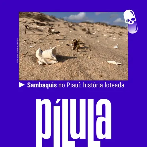 PÍLULA - Sambaquis no Piauí: história loteada