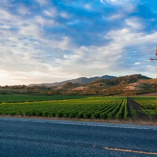 Feria bienal de negacionistas de los cuadros