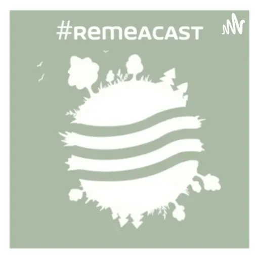 #2 Remediacja ex-situ - z czym się wiąże? #RemeaCast