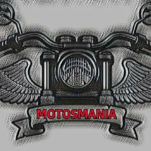 CULTURA BIKER = ABUSO DE VELOCIDAD