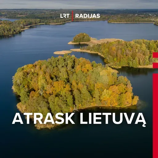 Nuo varlių, šakočių iki medaus