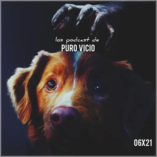 06x21: Good Boy, Recomendaciones para Halloween, Ti West junto a Johnny Depp, Heat 2...