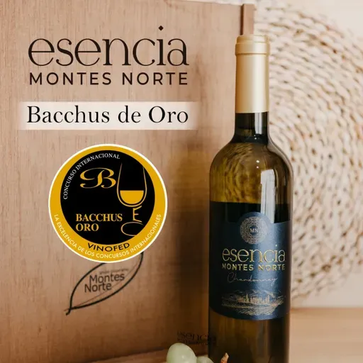 Brindamos por el oro: Esencia Montes Norte Chardonnay, un vino con alma y premios