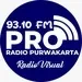PRO 93.10 FM
