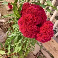 Estação Espírita 63