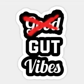 GUTVIBES FM