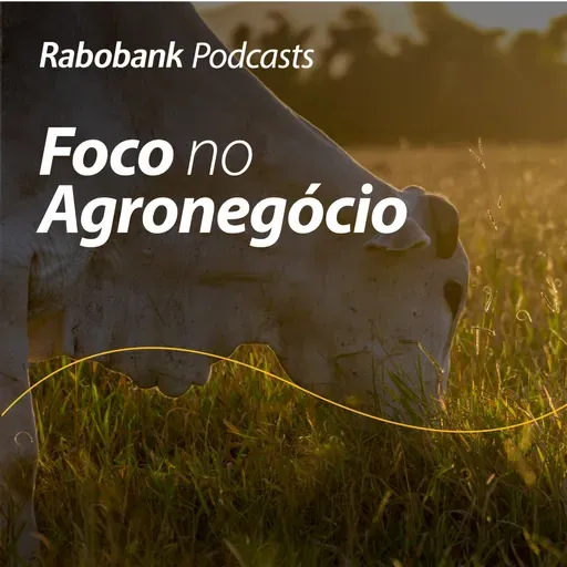 Perspectivas 2026 | Pecuária de Corte