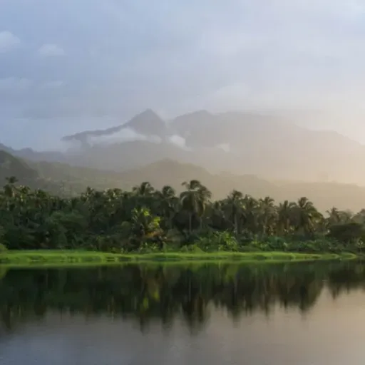 ¿ PLAYA O CALLE? Agua, territorio y poder. Parte 2.