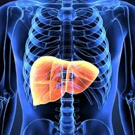 Sessiz Çığlık: Karaciğerinizin Size Verdiği 7 Kritik Uyarı!