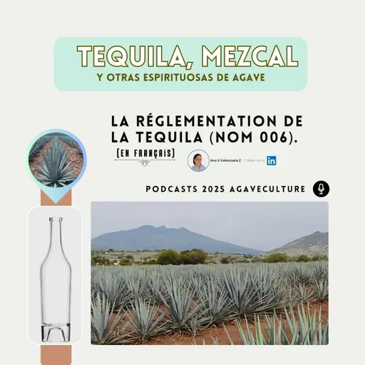 La réglementation de la tequila NOM 006 (en français).