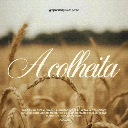 A COLHEITA | PRA. MONIQUE FERNANDES | 11.06.26