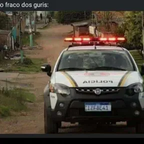 Rauppobrabo