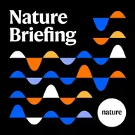 Briefing Chat: Caffeine slows brain ageing, suggests decades of data