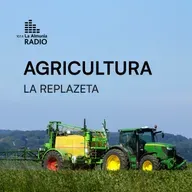 El campo 2026: el agro que cruza y endulza fronteras