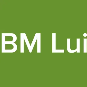 LBM Luis
