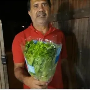 Malianteobrr