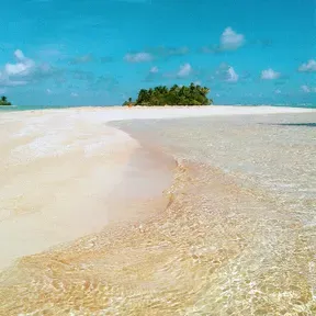 funkzd