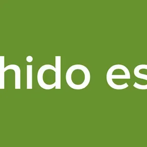 Chico Chido es la Neta