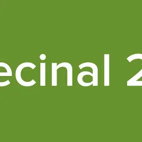 vecinal 27