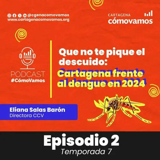 Que no te pique el descuido: Cartagena frente al dengue en 2024