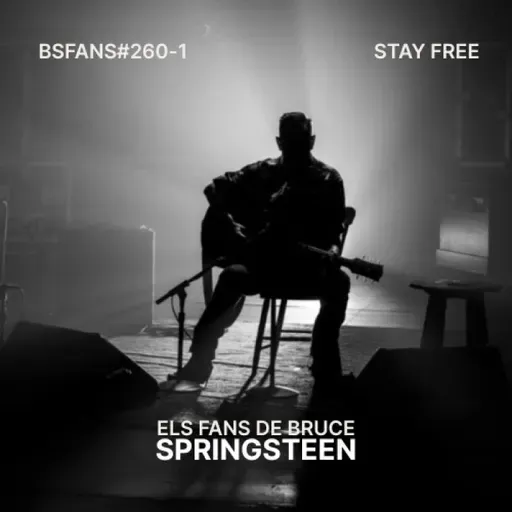 BSFANS CAP-260-1 STAY FREE