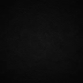 Loading