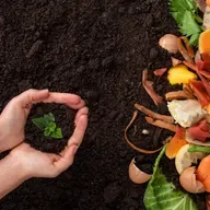 The great food rescue