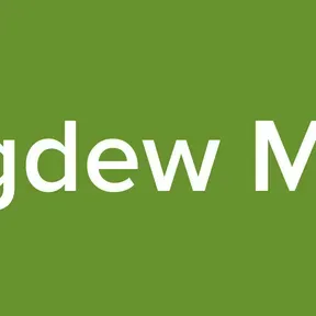 Songdew Media